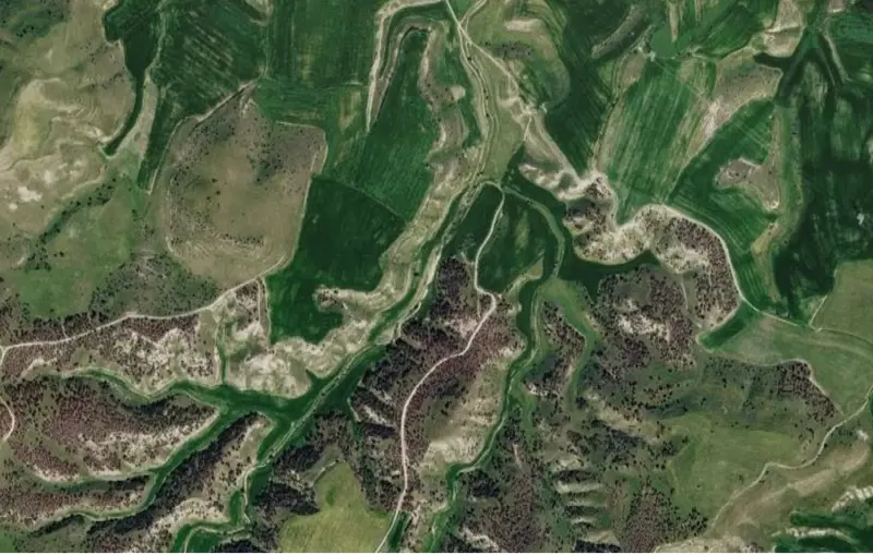 Denizli, Sarayköy, Satılık, Tarla — fotoğraf 1