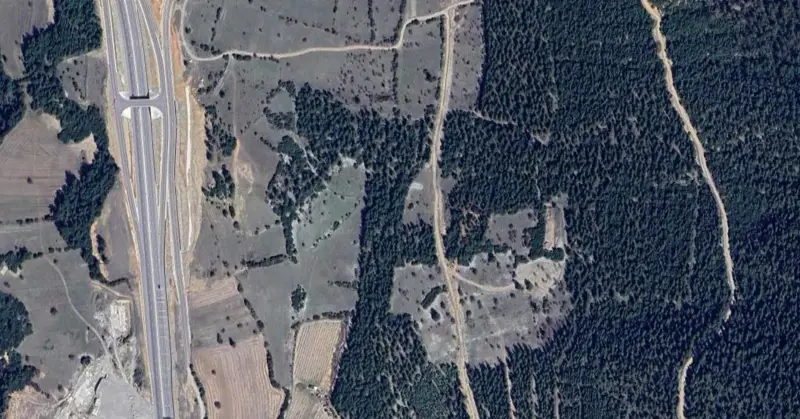 1255.jpg