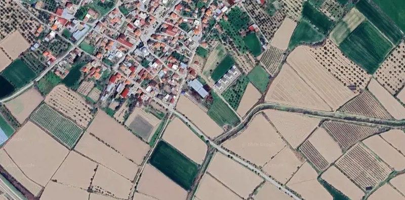 1681.jpg