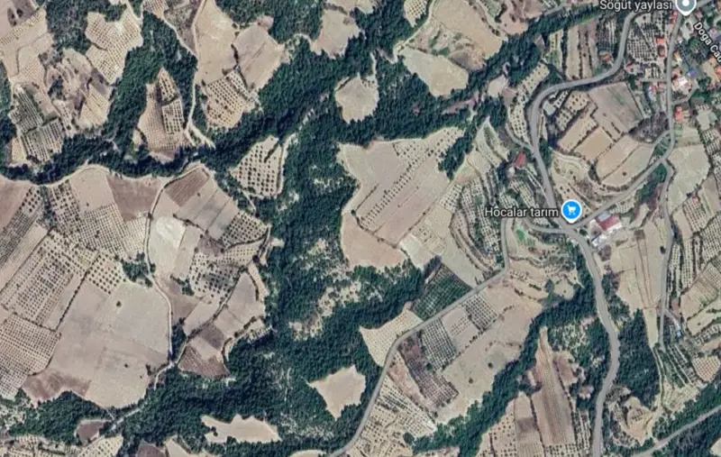Denizli, Pamukkale, Satılık, Tarla — fotoğraf 1