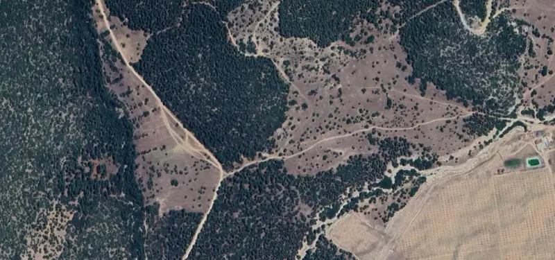 780.jpg