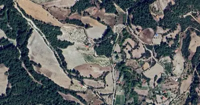 Denizli, Buldan, Satılık, Tarla