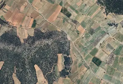 Denizli, Pamukkale, Satılık, Tarla