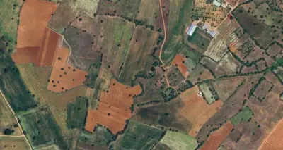 Denizli, Tavas, Satılık, Tarla