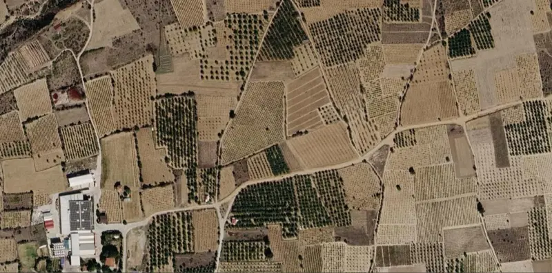 1496.jpg