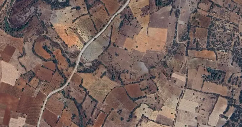 860.jpg