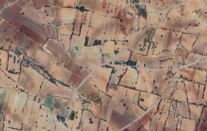 Denizli, Pamukkale, Satılık, Tarla — fotoğraf 1