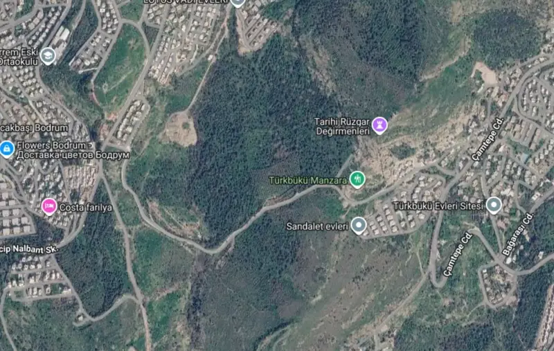 bolge-uydu-gorseli.png