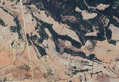 Denizli, Pamukkale, Satılık, Tarla