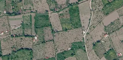 Denizli, Honaz, Satılık, Tarla