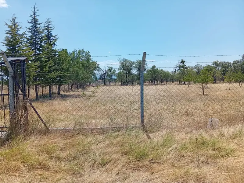 Denizli, Kızılcabölük, Tarla — fotoğraf 7