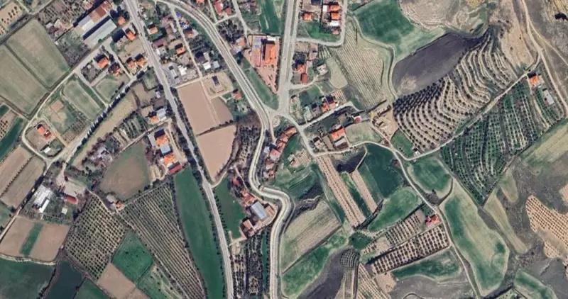 629.jpg