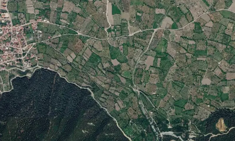 313.jpg