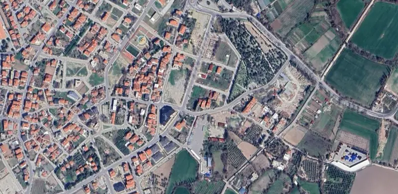1390.jpg
