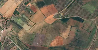 Denizli, Tavas, Satılık, Tarla