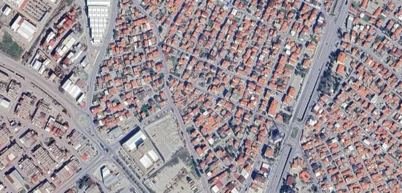 475.jpg