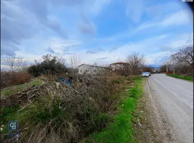 Denizli, Yeniköy, Tarla