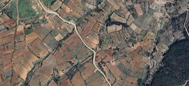601.jpg