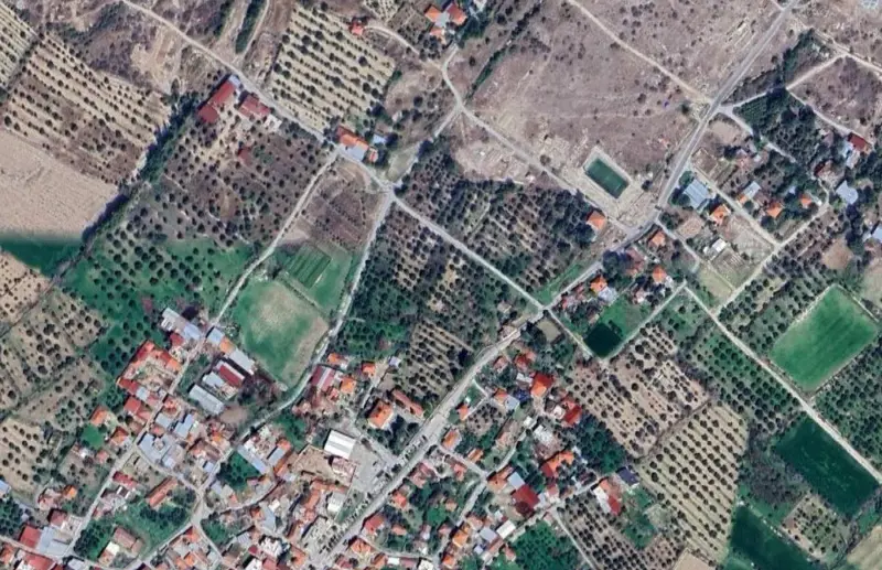 1768.jpg