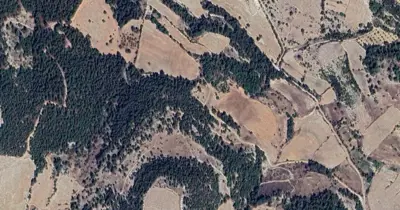 Denizli, Pamukkale, Satılık, Tarla