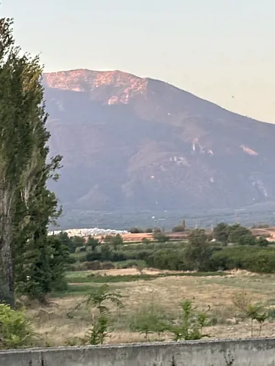 Gürlek Mah., Satılık, Tarla