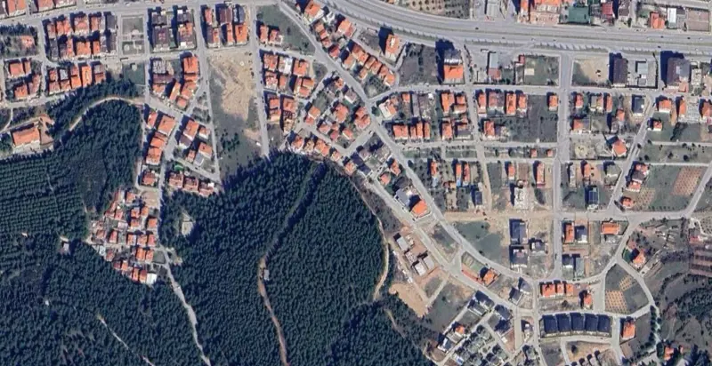 1441.jpg