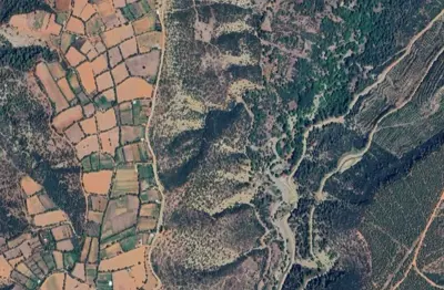 Denizli, Merkezefendi, Satılık, Tarla