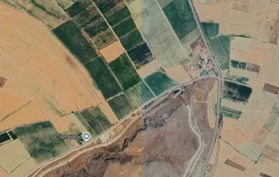 Denizli, Bayat, Tarla
