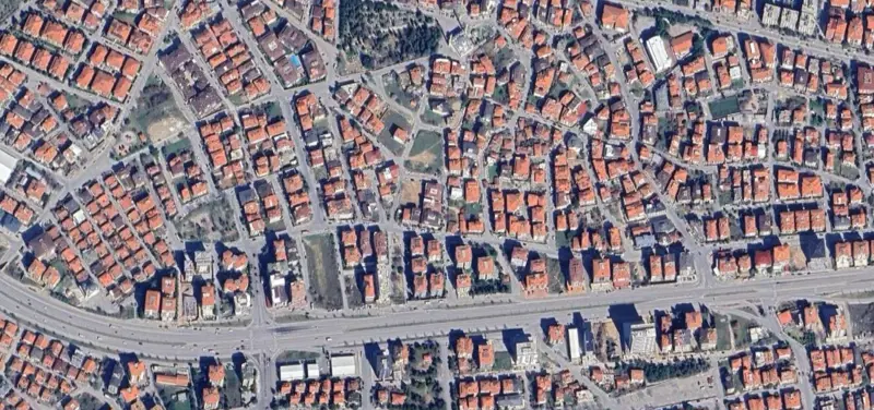1098.jpg