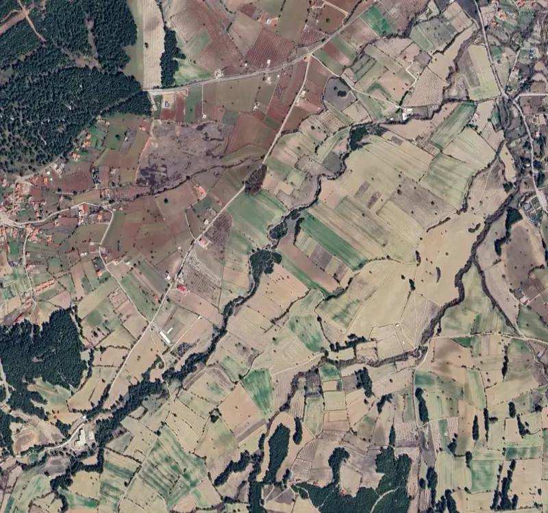 Ekran görüntüsü 2026-07-01 090527.png
