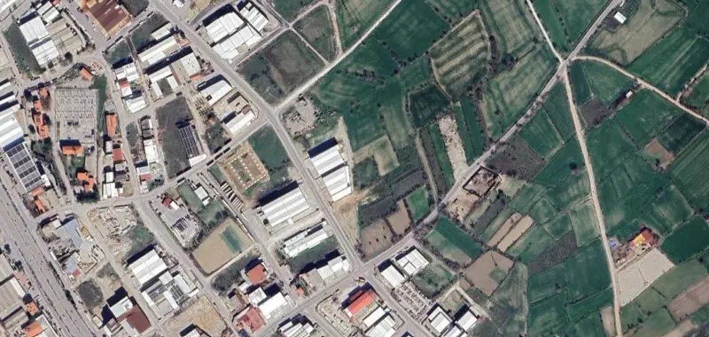 1241.jpg