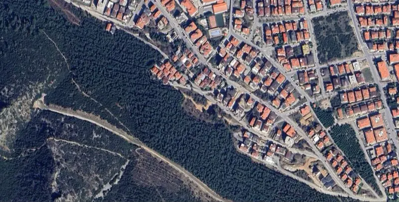889.jpg