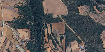 Denizli, Tavas, Satılık, Tarla
