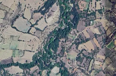 Denizli, Merkezefendi, Satılık, Tarla