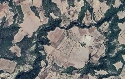 Denizli, Pamukkale, Satılık, Tarla