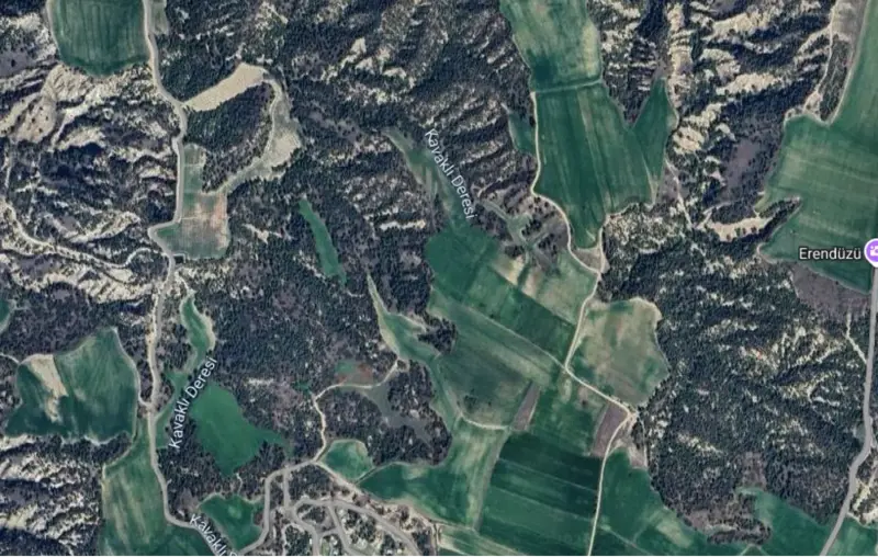 Denizli, Pamukkale, Satılık, Tarla — fotoğraf 1