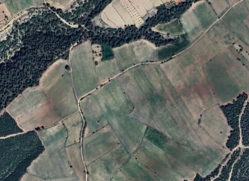 1846.jpg