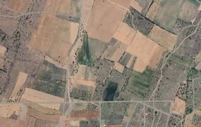 Denizli, Karahisar, Tarla