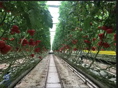  Seramız DENİZLİ  Pamukkale Gölemezli Organize Sanayi Sera Bölgesinde Bulunmaktadır. 