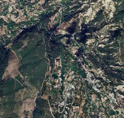 Denizli, Taşçılar, Tarla