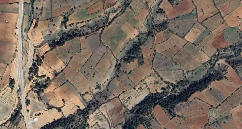 883.jpg