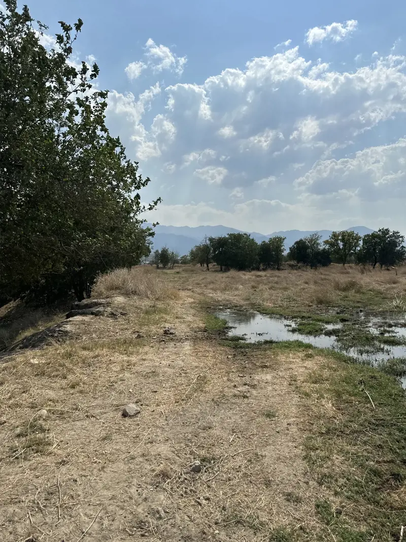 Denizli, Merkezefendi, Satılık, tarla — fotoğraf 2