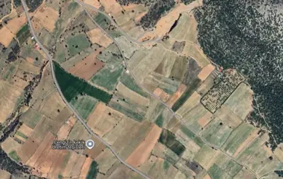 Denizli, Pamukkale, Satılık, Tarla