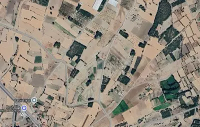 Denizli, Darıveren, Tarla