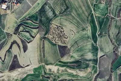 Denizli, Merkezefendi, Satılık, Tarla