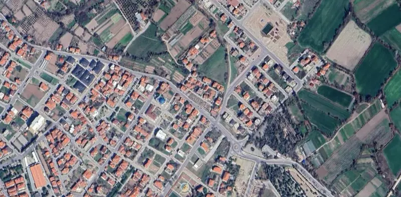 651.jpg