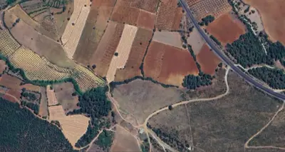 Denizli, Tavas, Satılık, Tarla
