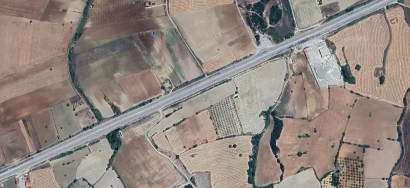 419.jpg