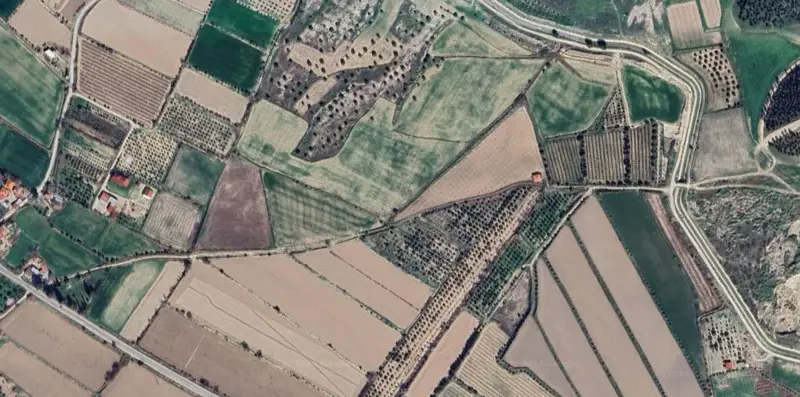 1716.jpg