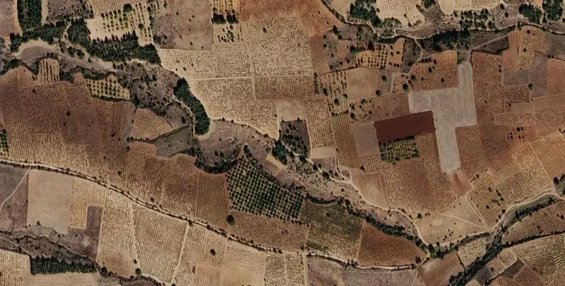 1184.jpg